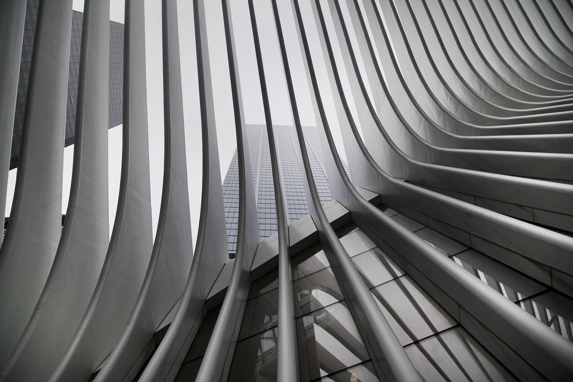 Upward view through the structural ribs of a modern building
